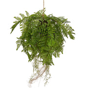 Függeszthető kialakítású, páfránylabda műnövény.