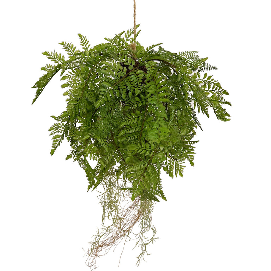 Függeszthető kialakítású, páfránylabda műnövény.
