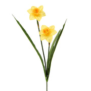 Sárga színű, nárcisz művirág.