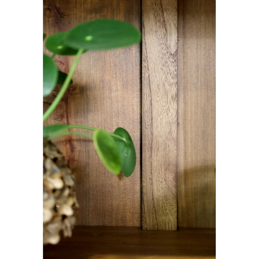 Old French vitrines szekrény polcfelület részlet, természetes faerezet