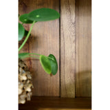 Old French vitrines szekrény polcfelület részlet, természetes faerezet