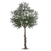 Extra dús lombkoronával kialakított mű olajfa.