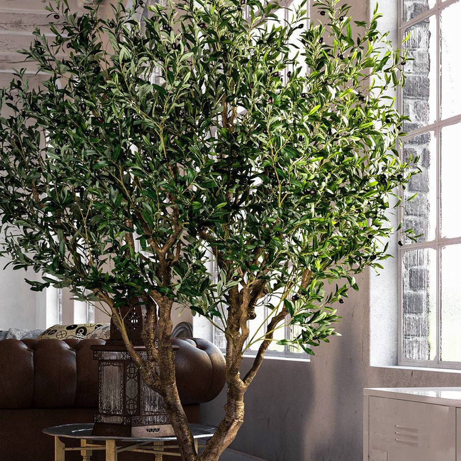 Mű olajfa loft lakásban.