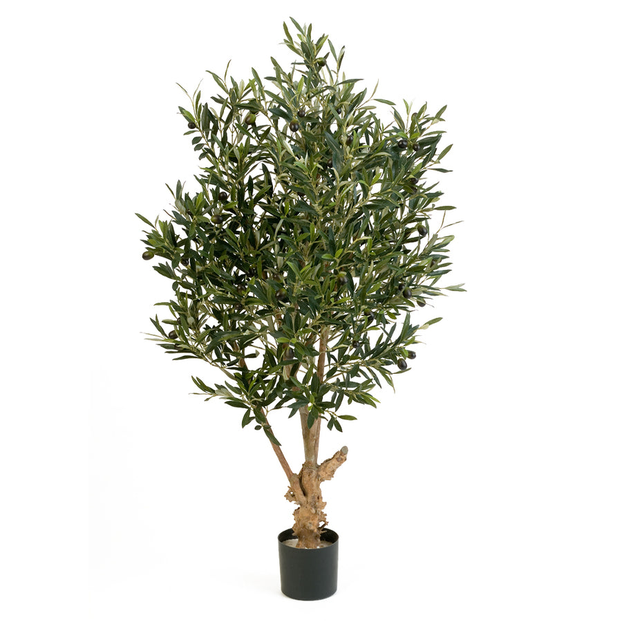 Élethű 120 cm magas mű olajfa fekete kaspóban