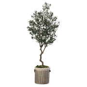 220 cm magas, élethű mű olajfa fekete kaspóban, dús lombkoronával.