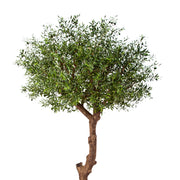 Prémium minőségű, élethű mű olajfa részletfotó dús lombkoronával.