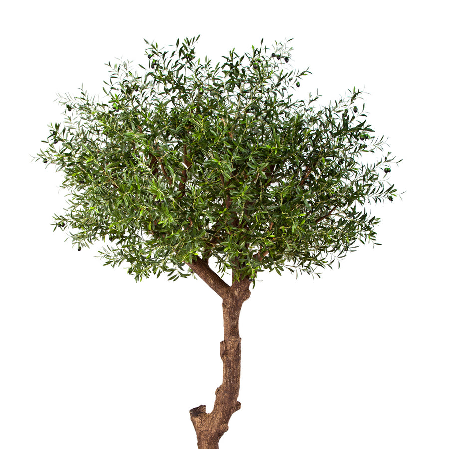 Prémium minőségű, élethű mű olajfa részletfotó dús lombkoronával.