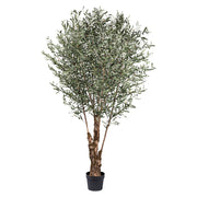 Nagyméretű, 270 cm magas mű olajfa fekete kaspóban, élethű levelekkel és bogyókkal.