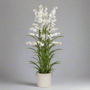 ONCIDIUM fehér mű orchidea 129 cm magas kaspóban, teljes látvány