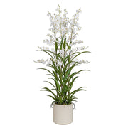 ONCIDIUM fehér mű orchidea 129 cm magas kaspóban, teljes látvány
