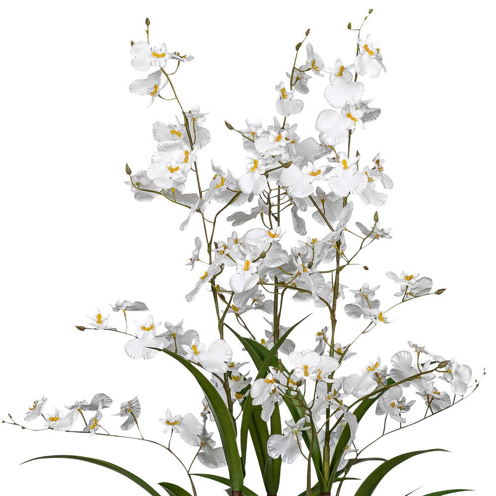 ONCIDIUM fehér mű orchidea 129 cm magas kaspóban, teljes látvány