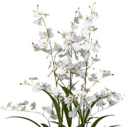 ONCIDIUM fehér mű orchidea 129 cm magas kaspóban, teljes látvány