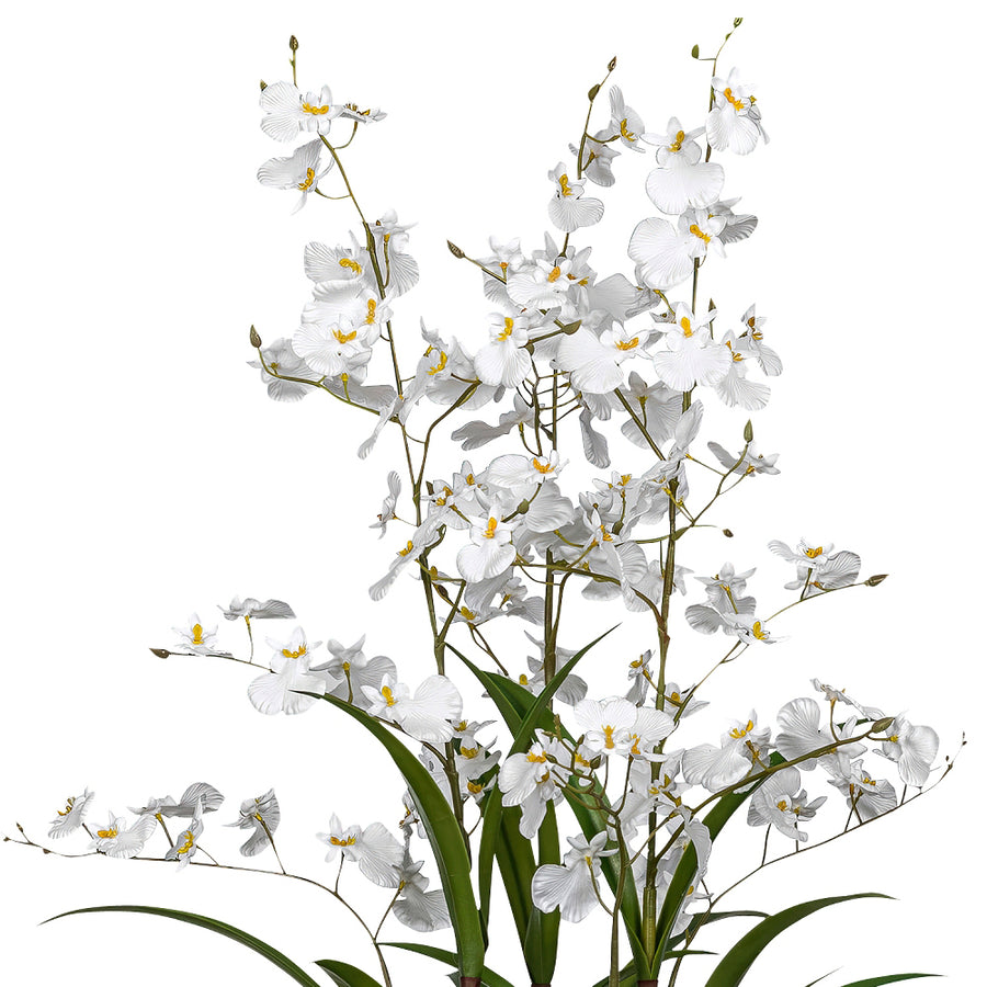 ONCIDIUM fehér mű orchidea 129 cm magas kaspóban, teljes látvány