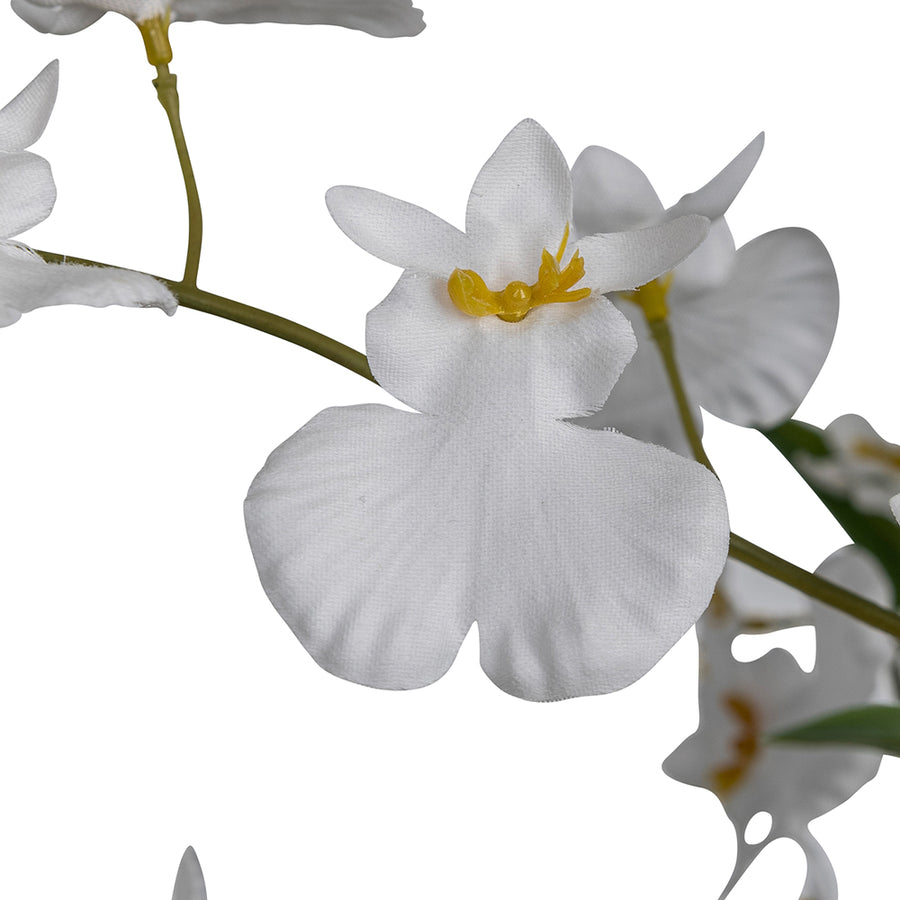 Fehér mű orchidea virág közelről.