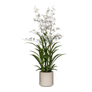 ONCIDIUM fehér mű orchidea 98 cm magas kaspóban, teljes látvány