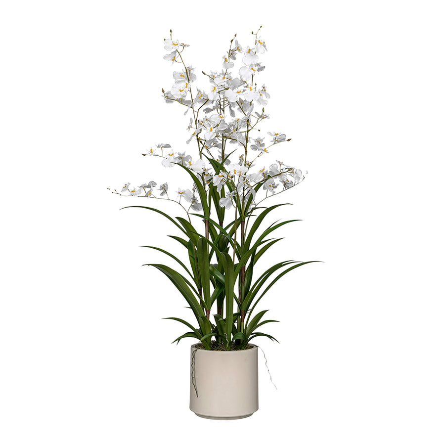 ONCIDIUM fehér mű orchidea 98 cm magas kaspóban, teljes látvány