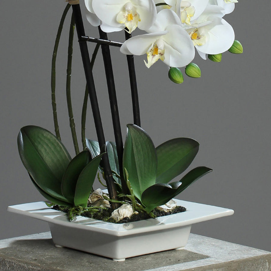 Élethű fehér cserepes mű orchidea részlet, zöld levelekkel és kaspóval