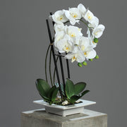 Real Touch fehér mű orchidea elegáns szürke, lapos kerámia kaspóban