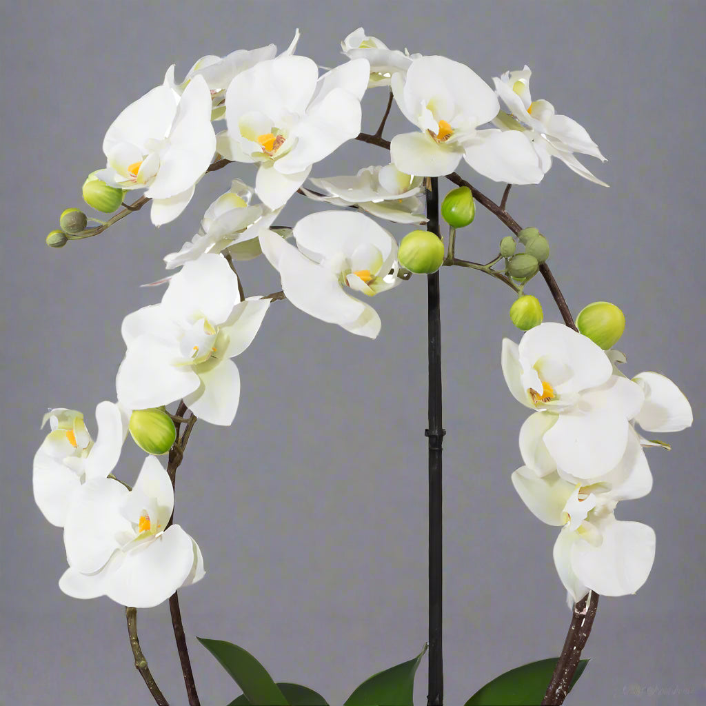Íves virágszárú fehér orchidea műnövény elegáns kaspóban