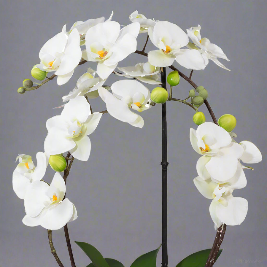 Íves virágszárú fehér orchidea műnövény elegáns kaspóban