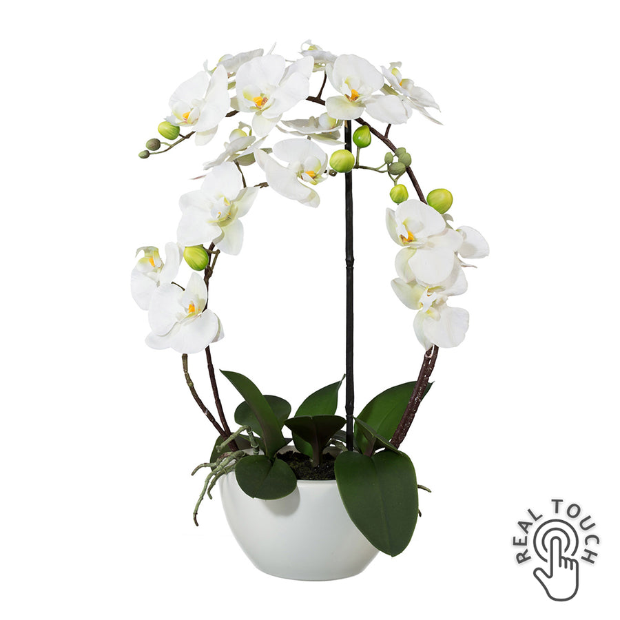 Fehér mű orchidea 52 cm kerámia kaspóban, Real Touch hatással