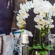 Fehér mű orchidea elegáns belső térben, gyertyával és díszcsillaggal.