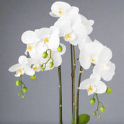 Fehér mű orchidea élethű virágokkal és zöld bimbókkal, 55 cm magas dekoráció.