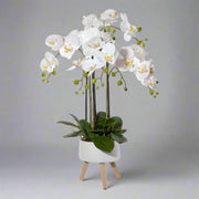 Dekoratív fehér mű orchidea kaspóban az Orchid kollekcióból