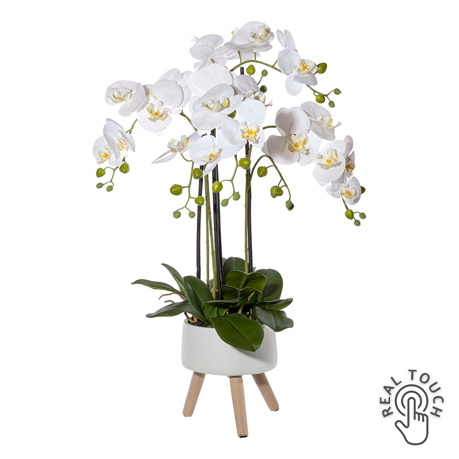 Fehér mű orchidea 75 cm magas, három lábú kerámia kaspóban