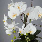 Fehér színű, mű orchidea, ezüstszínű kerámia kaspóban.