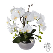 Fehér színű, mű orchidea, ezüstszínű kerámia kaspóban.