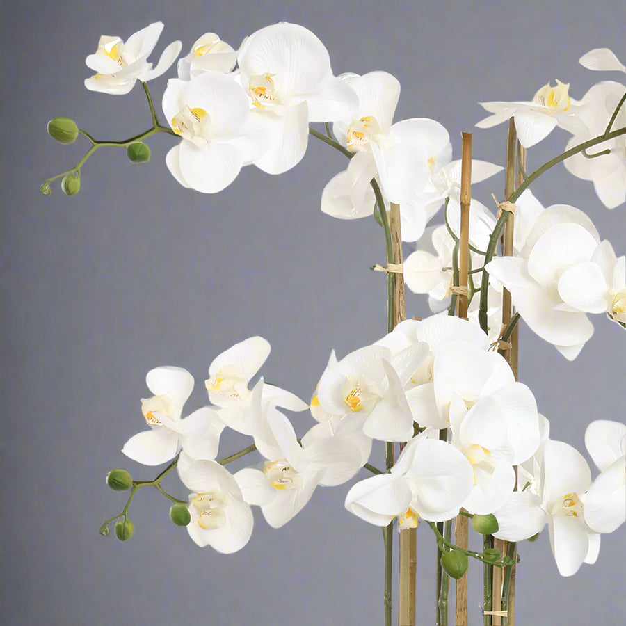 Közeli kép a Real Touch mű orchidea virágfejeiről, fehér szirmokkal és részletgazdag kidolgozással.