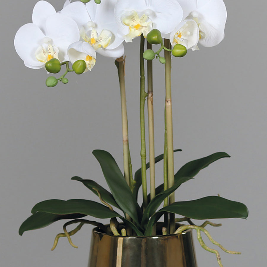 ORCHID fehér mű orchidea 64 cm luxus dekoráció arany kaspóban