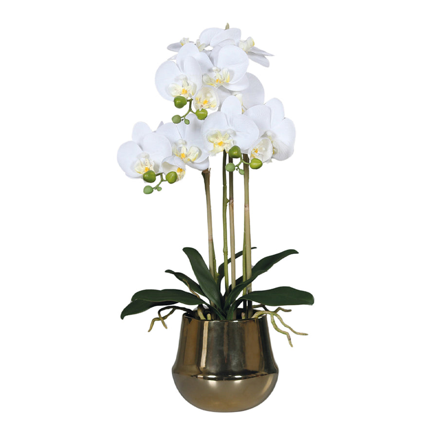 Fehér mű orchidea aranyszínű kerámia kaspóban, 64 cm magas dekoráció