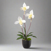45 cm magas fehér mű papucsorchidea Real Touch virágokkal fekete kaspóban.