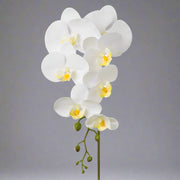 Hosszú szárú, Real Touch hatású fehér mű orchidea.