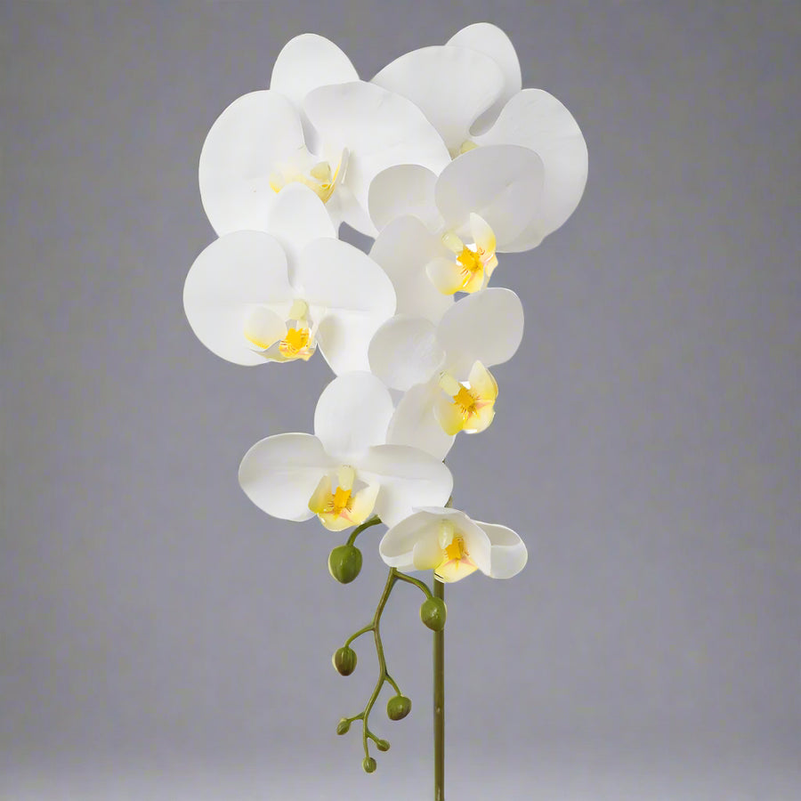 Hosszú szárú, Real Touch hatású fehér mű orchidea.
