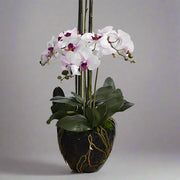 A földlabdás mű orchidea zöld levelekkel és élethű léggyökerekkel.