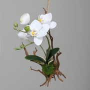 Teljes nézet a függeszthető, 32 cm magas fehér mű orchidea dekorációról.
