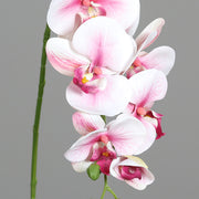 Élethű, pink árnyalatú mű orchidea virág részlet.