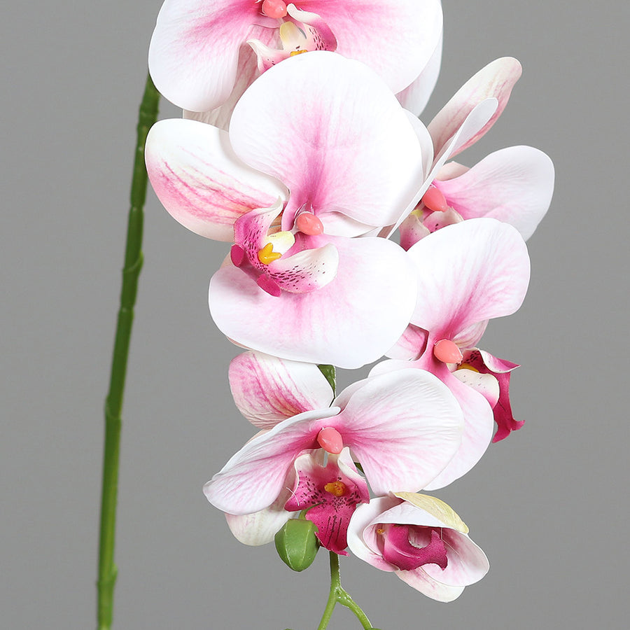 Élethű, pink árnyalatú mű orchidea virág részlet.