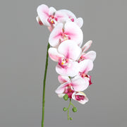 Hosszú szárú, Real Touch hatású halvány pink mű orchidea.