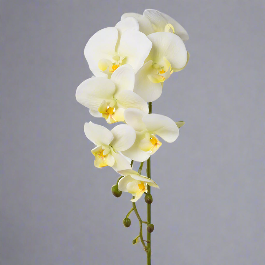 Hosszú szárú, Real Touch hatású krém mű orchidea.