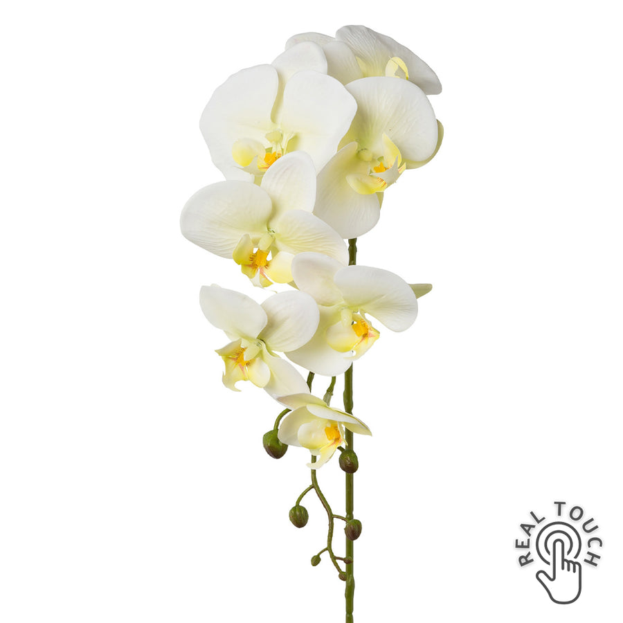 Krém mű orchidea szál, Real Touch hatással, 86 cm magas.