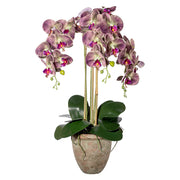 lila 75 cm magas mű orchidea terrakotta kaspóban.