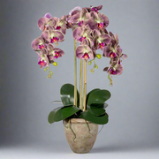 Lila, 75 cm magas mű orchidea terrakotta kaspóban.