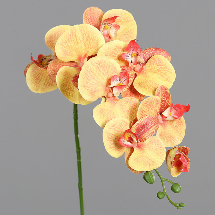 Élethű, sárga-narancs árnyalatú mű orchidea virág részlet.