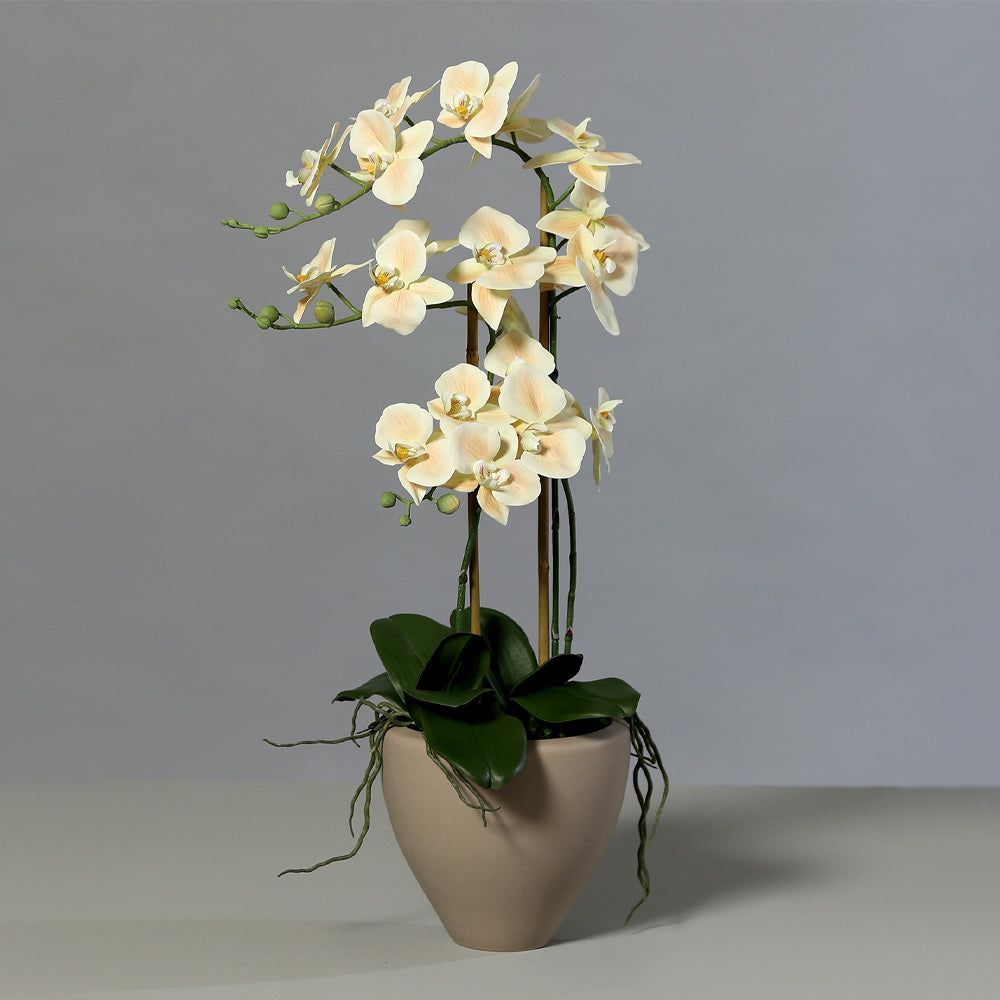 Púderszínű cserepes mű orchidea 70 cm magas dekoráció nappaliba vagy irodába