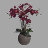 Szürke színű kerámia gömbkaspóba helyezett, burgundi színárnyalatú orchidea művirág.