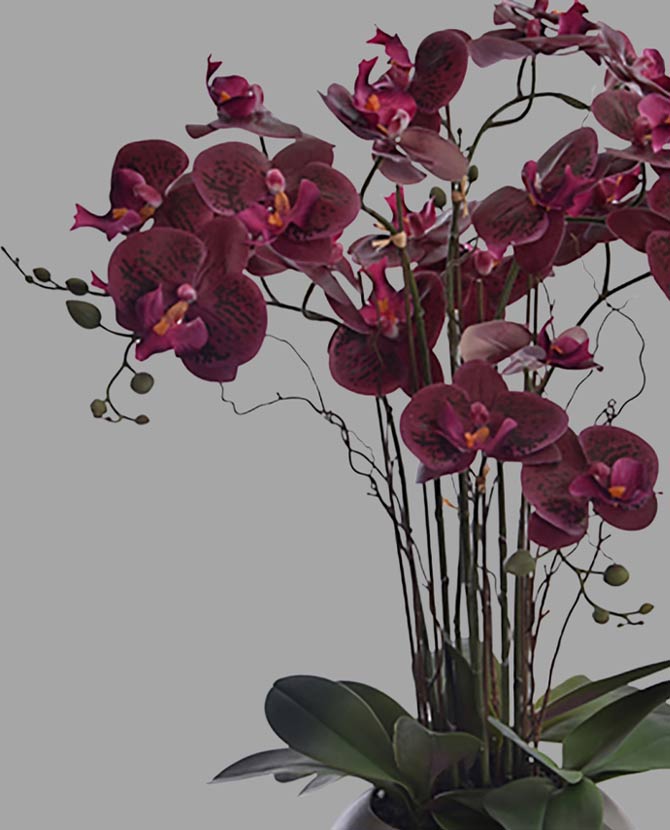 Szürke színű kerámia gömbkaspóba helyezett, burgundi színárnyalatú orchidea művirág.